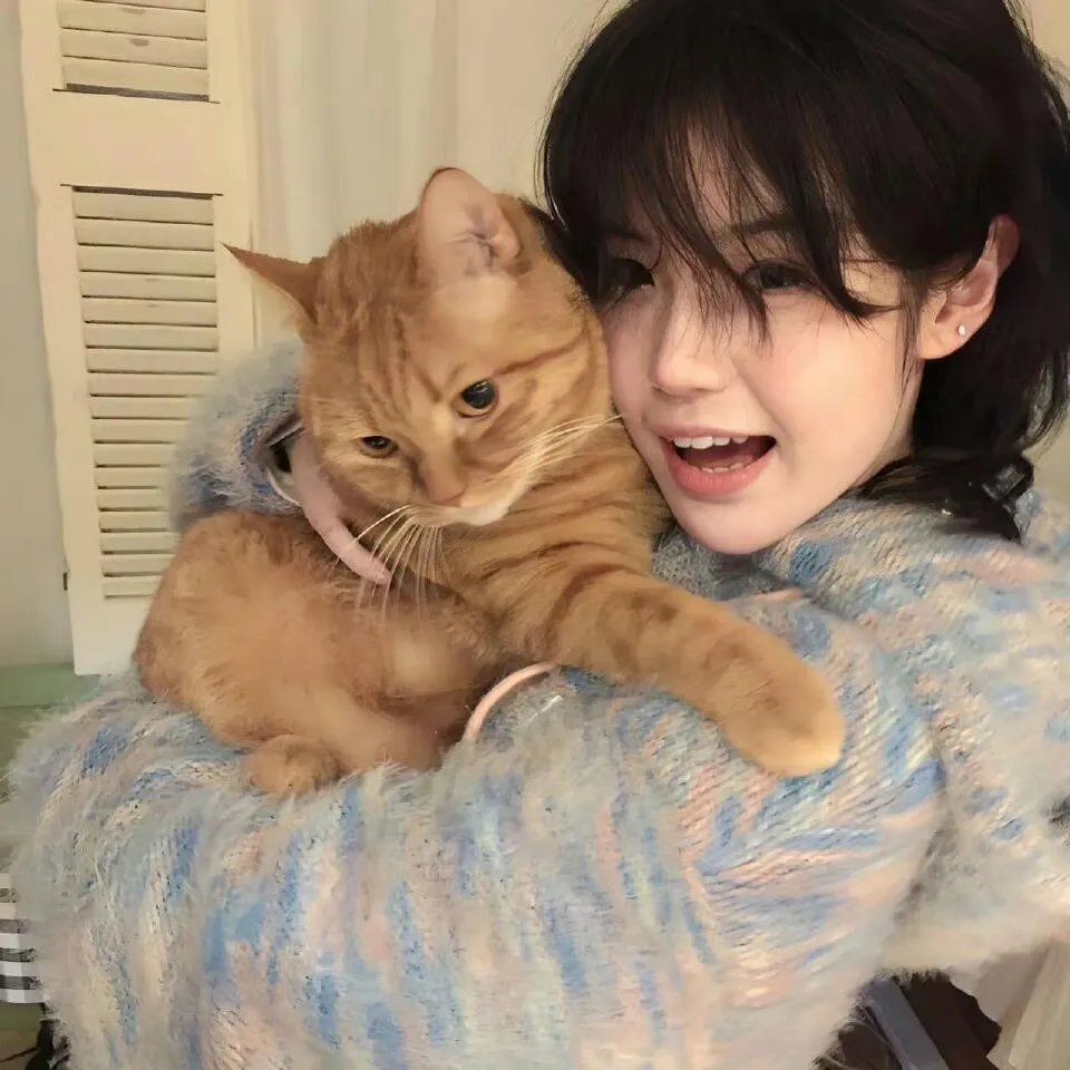 被赶出侯府假世子靠科举逆袭权臣1